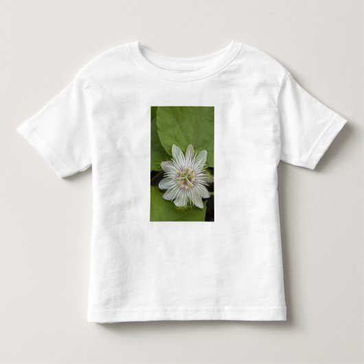 Galapagos Passiebloem Passiflora foetida Kinder Shirts (Voorkant)