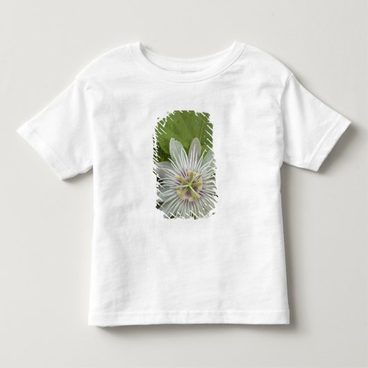 Galapagos Passiebloem Passiflora foetida Kinder Shirts (Voorkant)