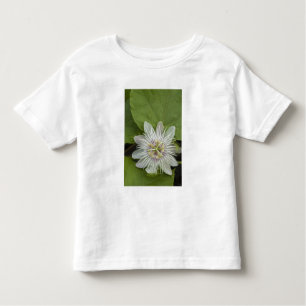 Galapagos Passion Flower Passiflora foetida Kinder Shirts