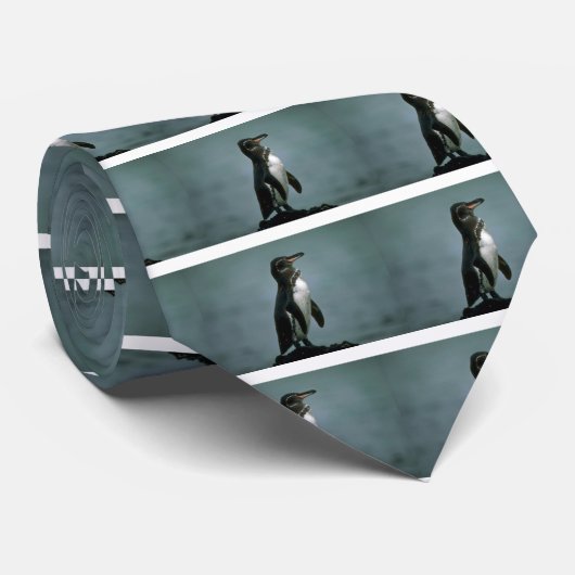 Galapagos Penguin on Lava Rock Stropdas (Opgerold)