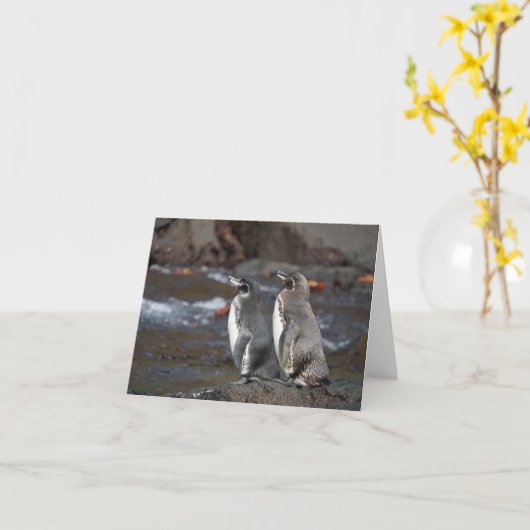 Galapagos Penguin Pair Greeting Card Kaart (Gele Bloem)