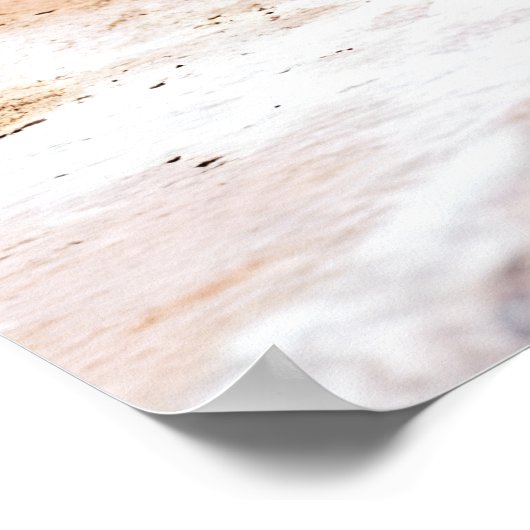 Galapagos-pinguïn Poster (Hoek)