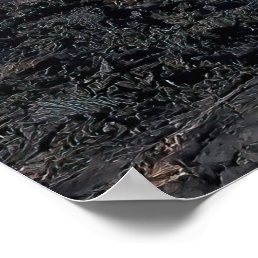 Galapagos Poster (Hoek)