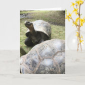 Galapagos schildpad wenskaart #2 (Grappig van binn Kaart (Gele Bloem)