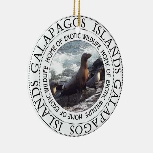 GALAPAGOS SEALS ROUND KERAMISCH ORNAMENT (Rechts)