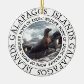GALAPAGOS SEALS ROUND KERAMISCH ORNAMENT (Voorkant)