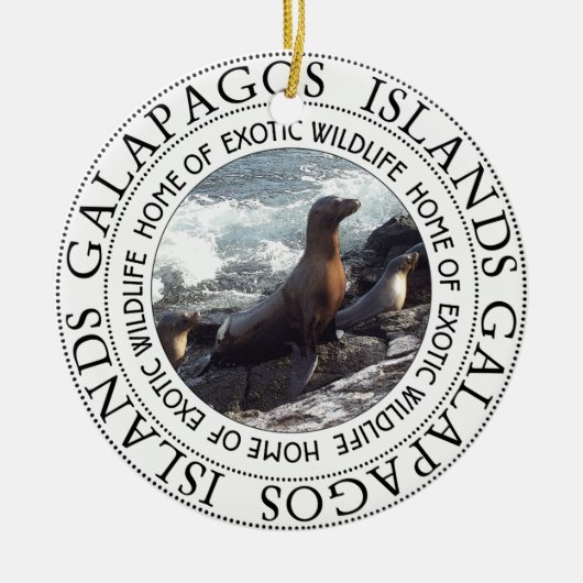 GALAPAGOS SEALS ROUND KERAMISCH ORNAMENT (Voorkant)