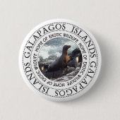 GALAPAGOS SEALS ROUND RONDE BUTTON 5,7 CM (Voorkant)