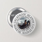 GALAPAGOS SEALS ROUND RONDE BUTTON 5,7 CM (Voorkant /achterkant)