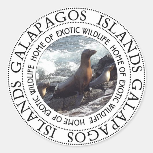 GALAPAGOS SEALS ROUND RONDE STICKER (Voorkant)