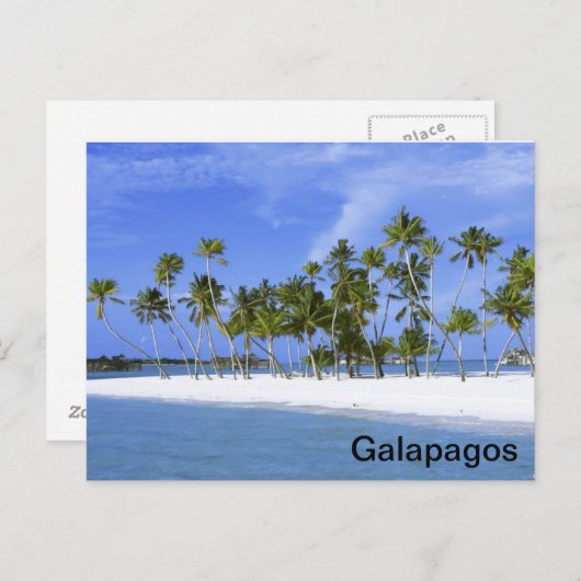 Galapagos - strand briefkaart (Voorkant / Achterkant)