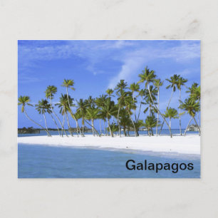 Galapagos - strand briefkaart