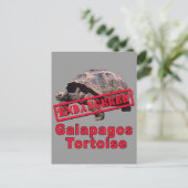 Galapagos Tortoise Bedreigde Kunst Tshirts Briefkaart (Staand voorkant)