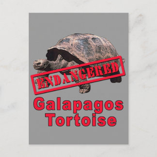 Galapagos Tortoise Bedreigde Kunst Tshirts Briefkaart