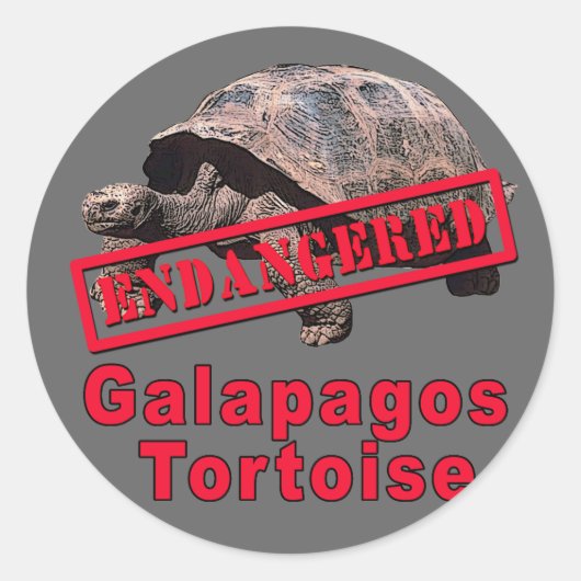 Galapagos Tortoise Bedreigde Kunst Tshirts Ronde Sticker (Voorkant)