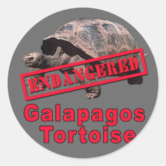 Galapagos Tortoise Bedreigde Kunst Tshirts Ronde Sticker