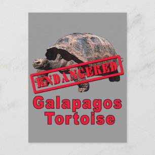 Galapagos Tortoise bedreigde kunsthemden Briefkaart