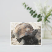 galápagos tortoise briefkaart (Staand voorkant)
