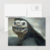 Galapagos Tortoise Briefkaart (Voorkant / Achterkant)