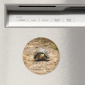 Galapagos Tortoise Magneet (Insitu (Vaatwasser))