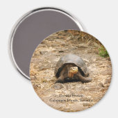Galapagos Tortoise Magneet (Voorkant / Achterkant)