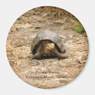 Galapagos Tortoise Magneet