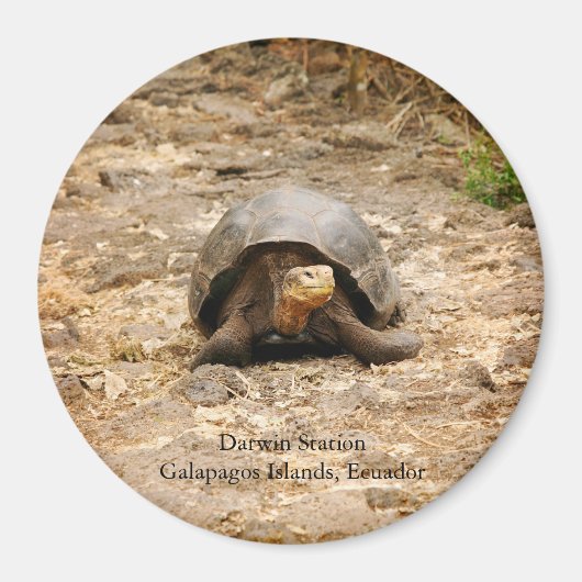 Galapagos Tortoise Magneet (Voorkant)