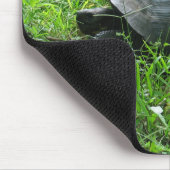 Galápagos Tortoise Muismat (Hoek)