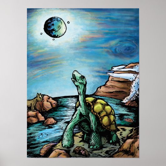 Galapagos Tortoise Poster (Voorkant)