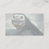 Galapagos Tortoise Visitekaartje (Achterkant)