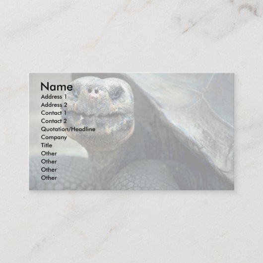 Galapagos Tortoise Visitekaartje (Voorkant)