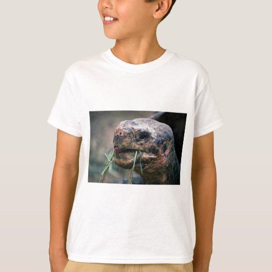 Galapagos Turtle, Galapagos T-shirt (Voorkant)