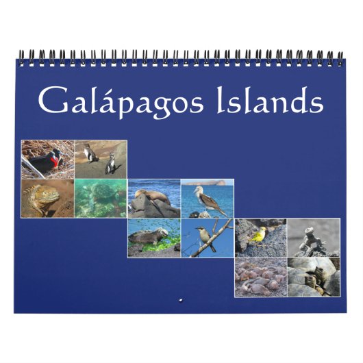 Galapagos Wildlife 2026 Kalender (Hoes)