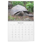 Galapagos-wildlife 2027 kalender (Mar 2027)