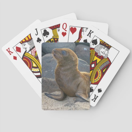 Galapagos zee leeuw pokerkaarten (Achterkant)
