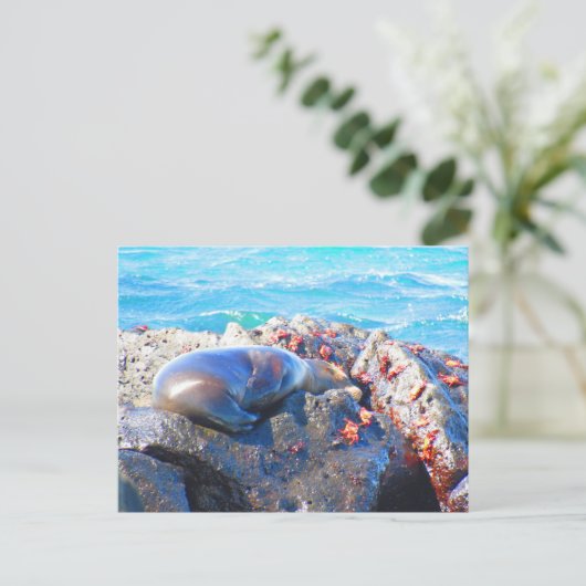 galapagos zee leeuwkrab briefkaart (Staand voorkant)