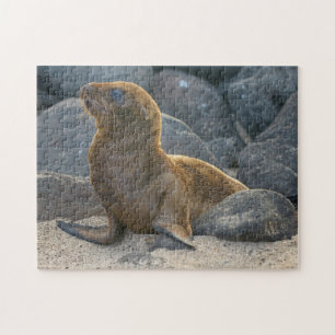 Galapagos Zee Lion Legpuzzel