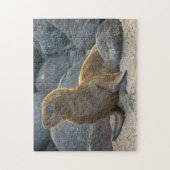 Galapagos Zee Lion Legpuzzel (Verticaal)