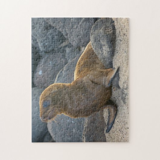 Galapagos Zee Lion Legpuzzel (Verticaal)