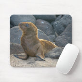 Galapagos Zee Lion Muismat (Met muis)