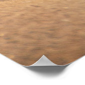 Galapagos Zee Lion Poster (Hoek)