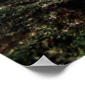 Galápagos Zee Schildpad met Sergeant Major Fish Poster (Hoek)