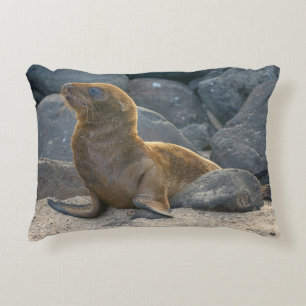 Galapagos Zeerover Accent Kussen