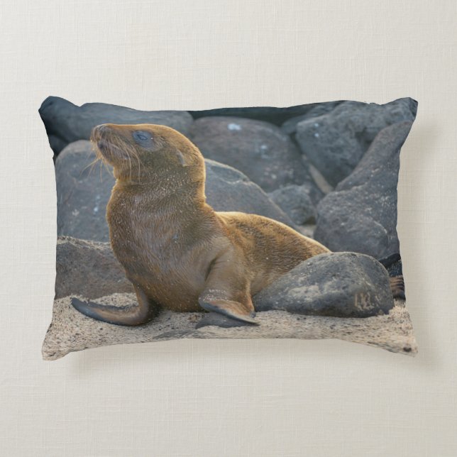 Galapagos Zeerover Accent Kussen (Voorkant)