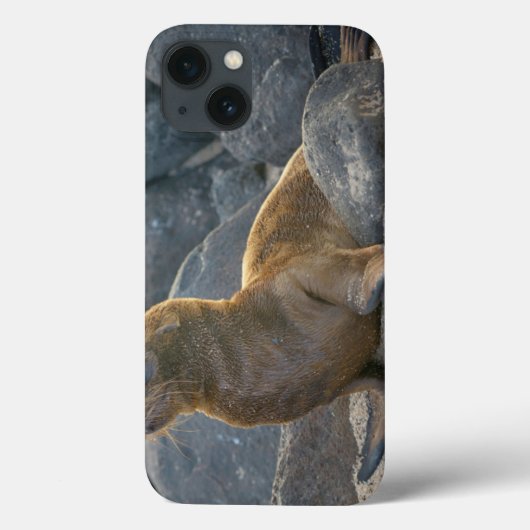 Galapagos Zeerover Case-Mate iPhone Case (Achterkant)