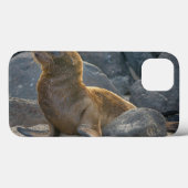 Galapagos Zeerover Case-Mate iPhone Case (Achterkant (horizontaal))