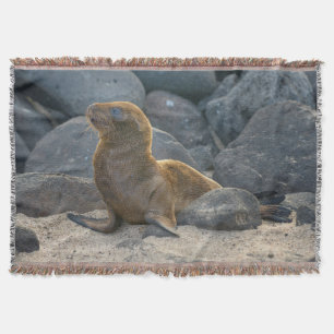 Galapagos Zeerover Deken