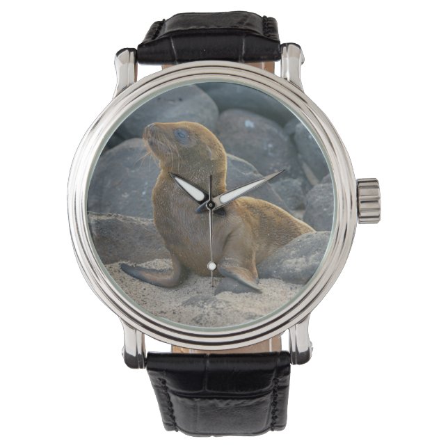 Galapagos Zeerover Horloge (Voorkant)