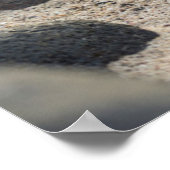 Galapagos Zeerover Poster (Hoek)