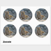 Galapagos Zeerover Ronde Sticker (Vel)